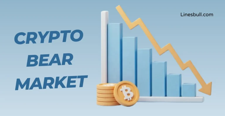 Crypto Investment For A Bear Market